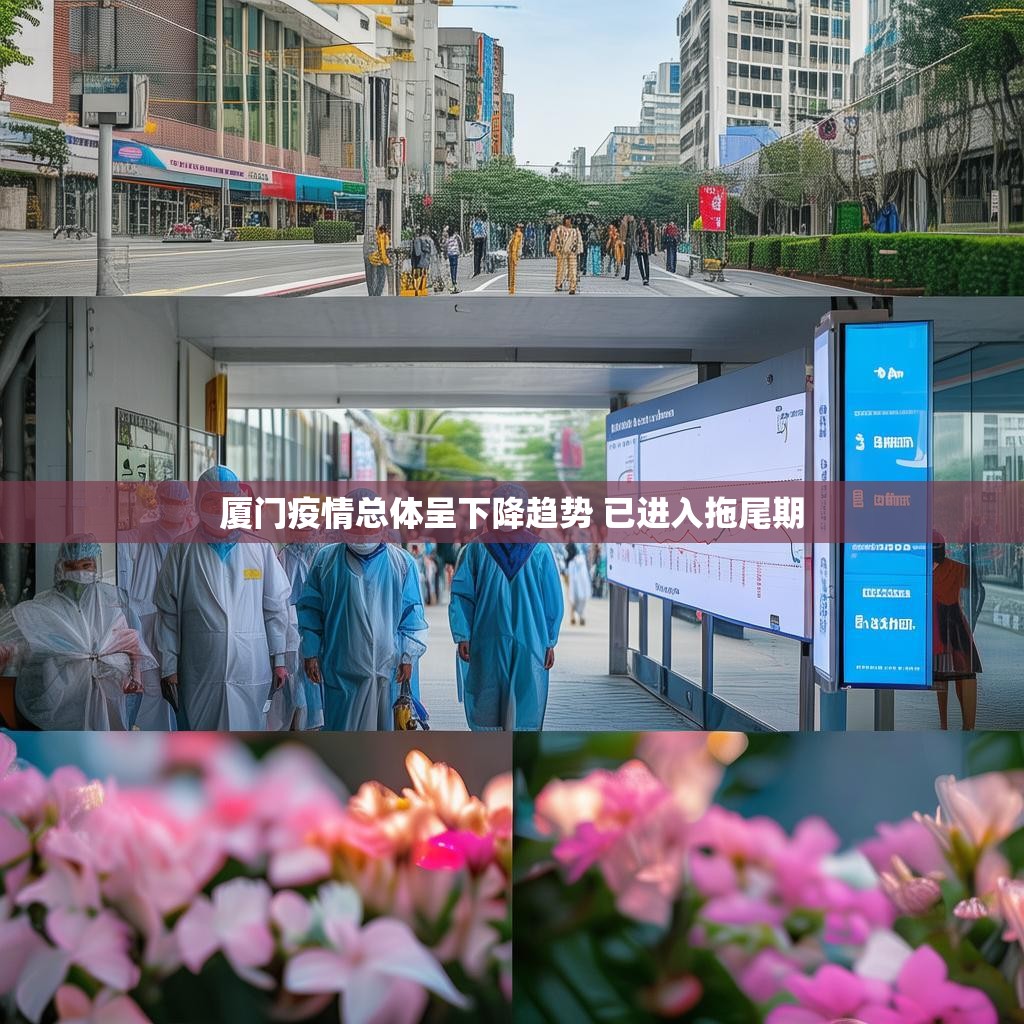 厦门疫情总体呈下降趋势 已进入拖尾期