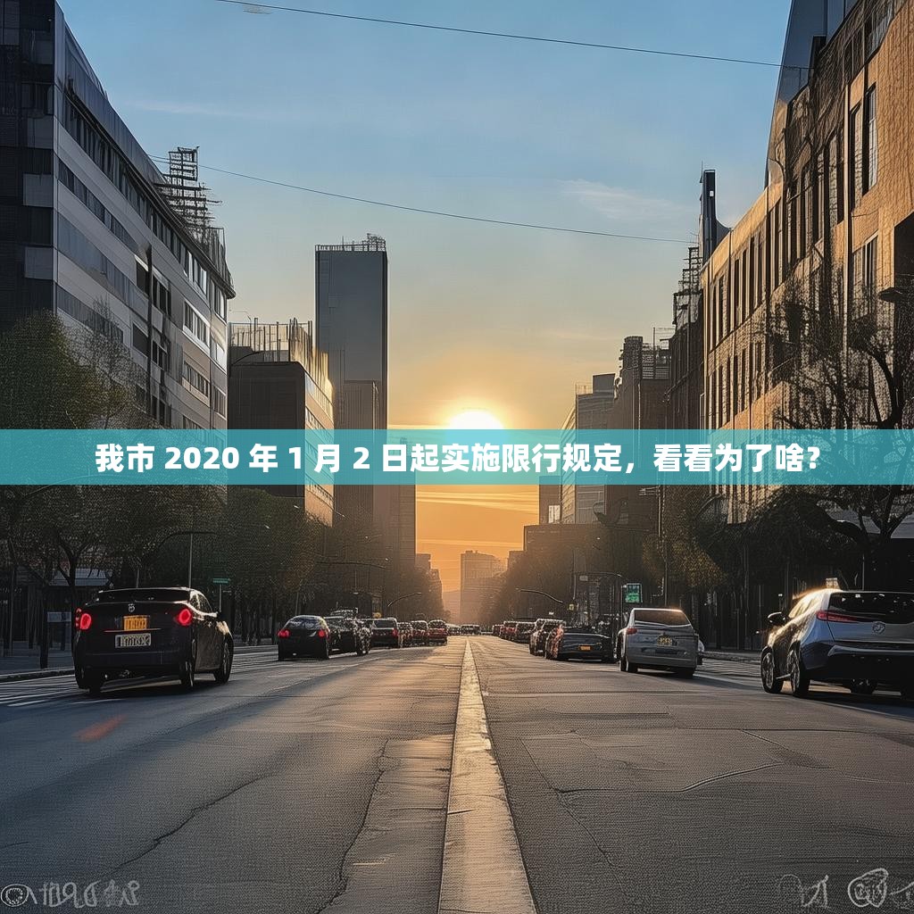 我市 2020 年 1 月 2 日起实施限行规定，看看为了啥？