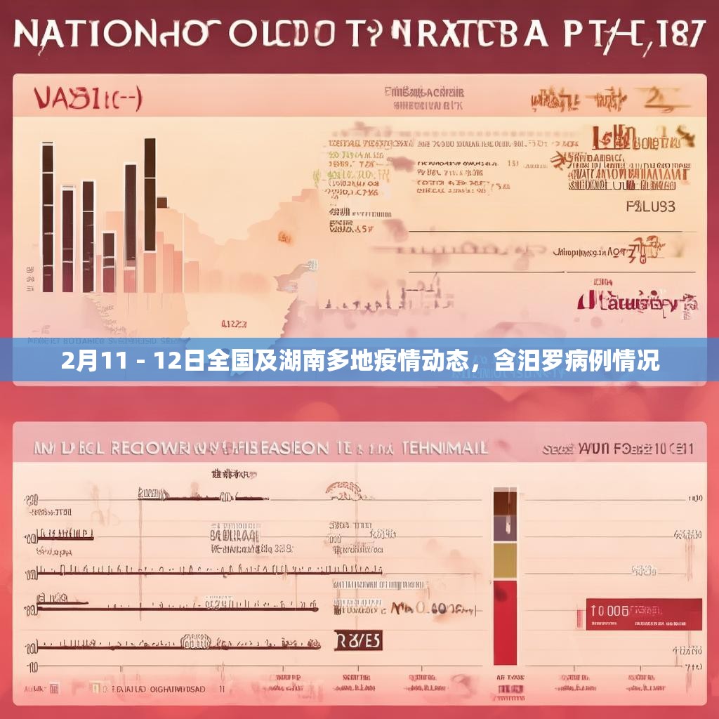 2月11 - 12日全国及湖南多地疫情动态，含汨罗病例情况
