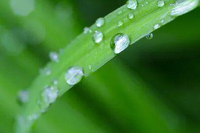 春季易发病要防范!学校开学后这些传染病高发,疫苗接种很重要