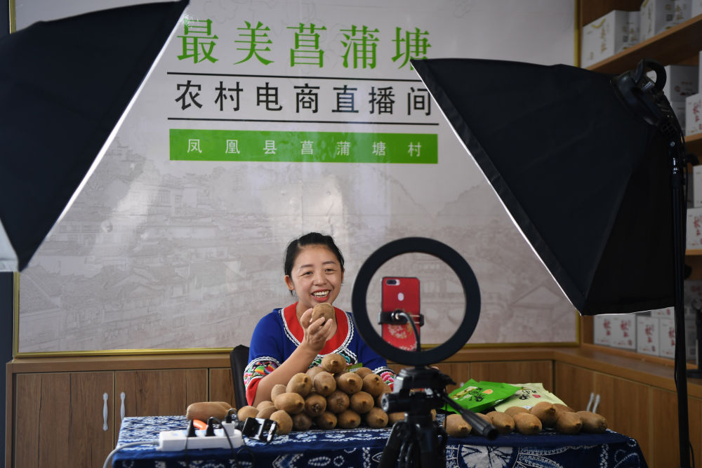 夯实中国式现代化基础——习近平总书记带领中国从脱贫攻坚走向乡村全面振兴