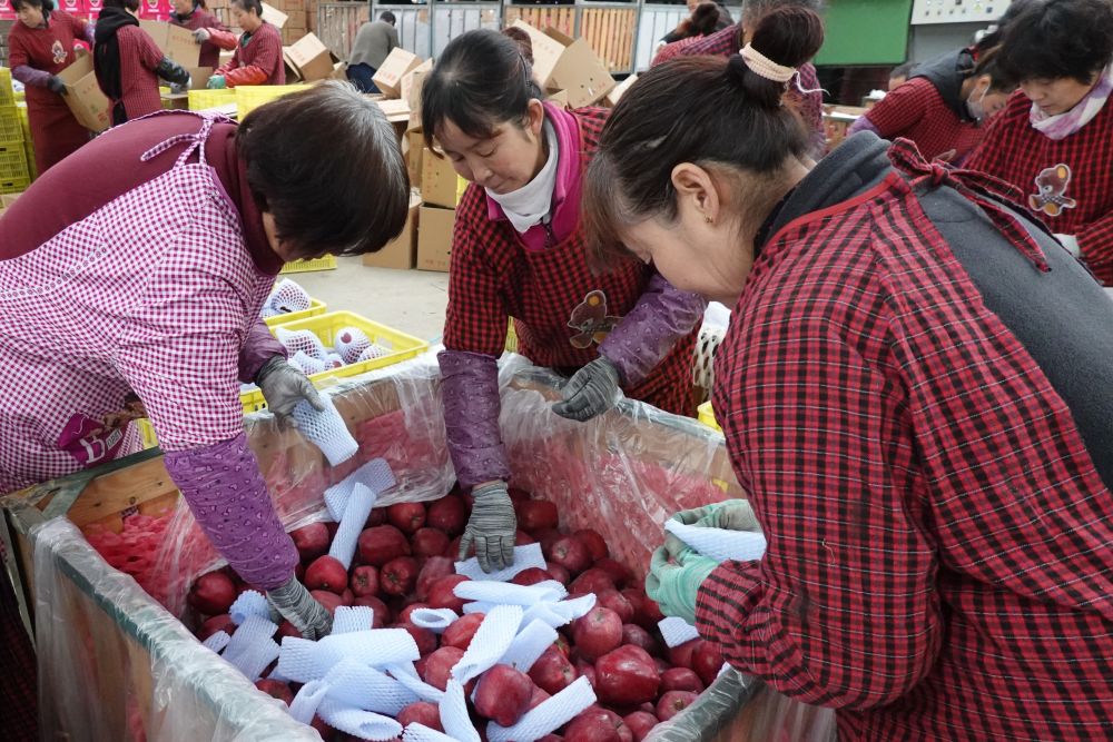 夯实中国式现代化基础——习近平总书记带领中国从脱贫攻坚走向乡村全面振兴
