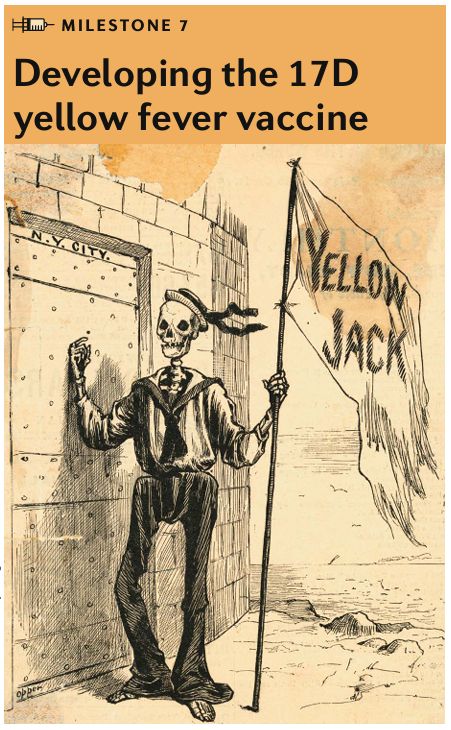 21个疫苗里程碑|从抗击天花到狙击癌症,人类抗疫史太精彩