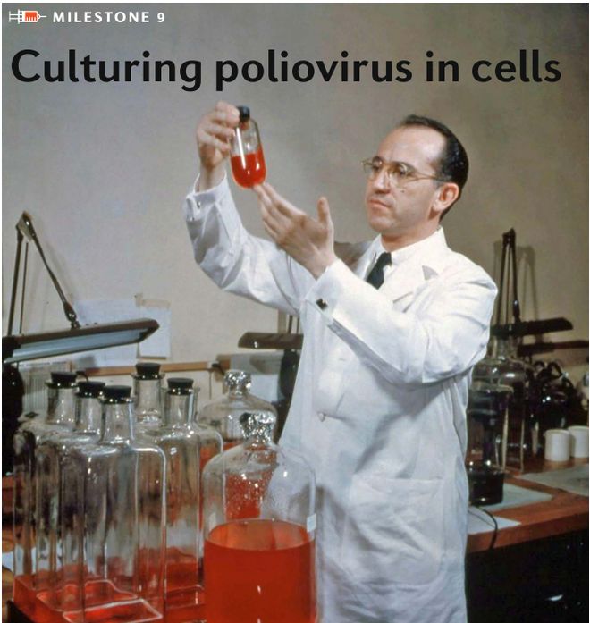 21个疫苗里程碑|从抗击天花到狙击癌症,人类抗疫史太精彩