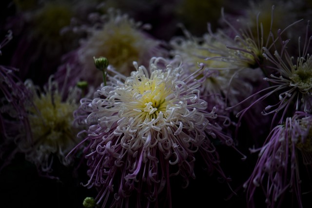 疫情后生活似重启,身体记忆藏距离敏感的后遗症