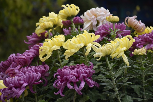 疫情后生活似重启,身体记忆藏距离敏感的后遗症