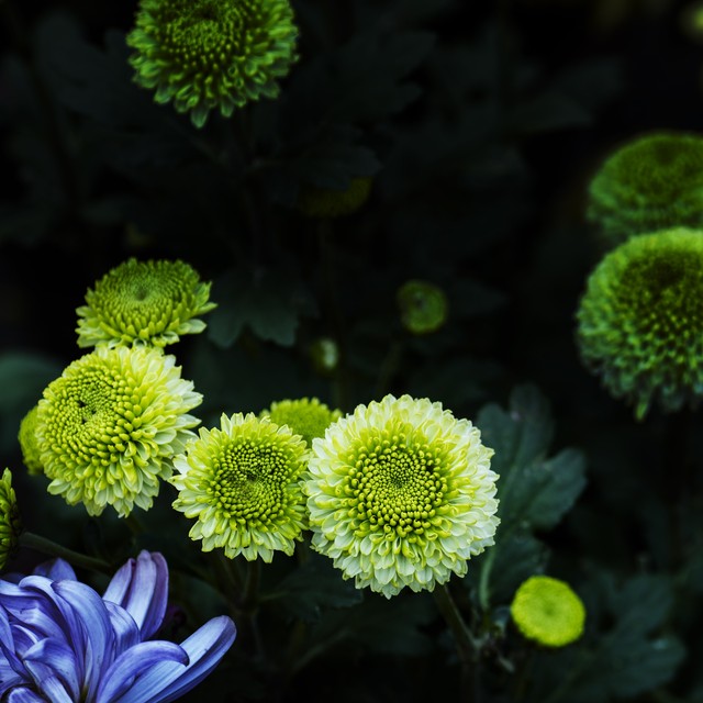 疫情后生活似重启,身体记忆藏距离敏感的后遗症