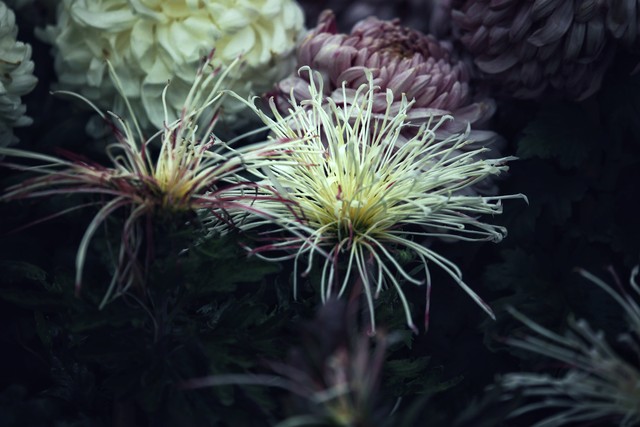 疫情后生活似重启,身体记忆藏距离敏感的后遗症