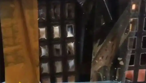 顺丰12月起停收活体动物快递，生鲜类海产品仍可邮寄