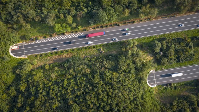 春节高速出行安全攻略,出发前要做这些准备