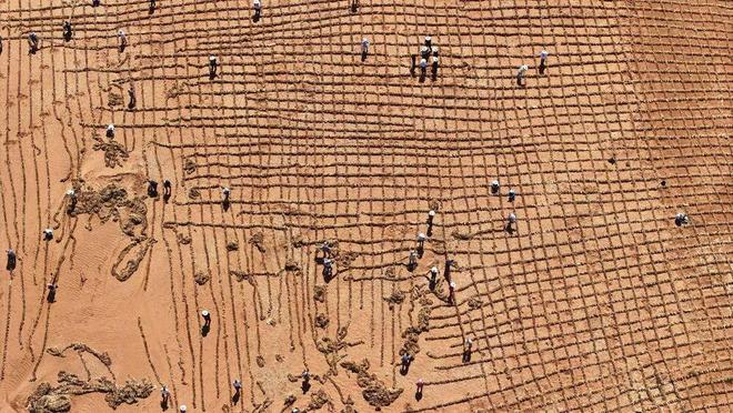 高考地理热点：沙漠锁边行动的案例、措施及意义全解析