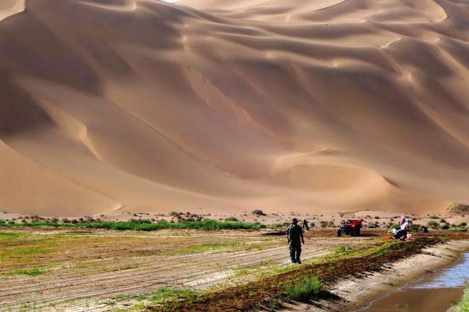 高考地理必知:背景风与局地风的核心概念及特点解析