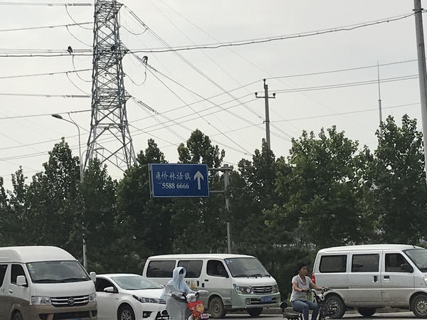 郑州交界处现大量假路牌,影响市容还误导行人车辆