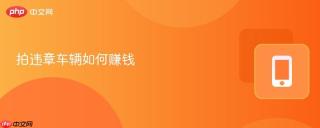 拍违章赚钱门道多！官方随手拍及多途径盈利攻略