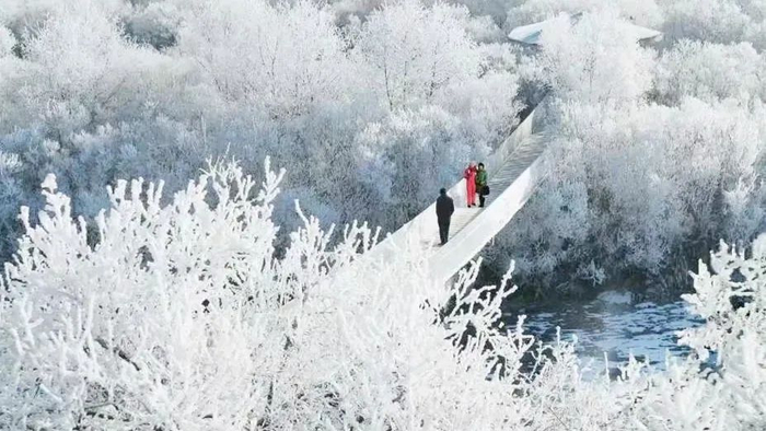 2024 年冬运会火炬在呼伦贝尔传递,展城市魅力迎盛会