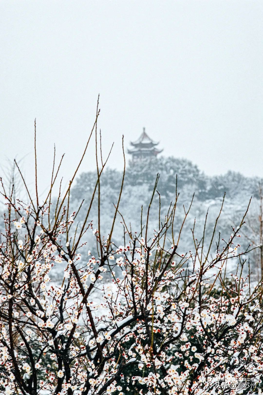 连续9天免费高速公路!苏州自驾游导游来了