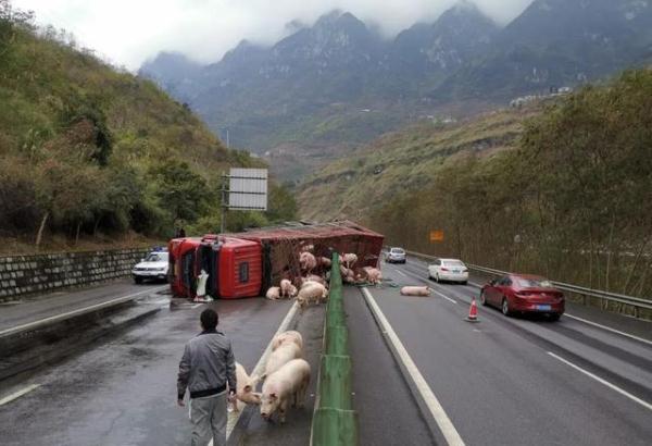 高速驾驶突发状况频发!这些技巧助你应对紧急情况保安全