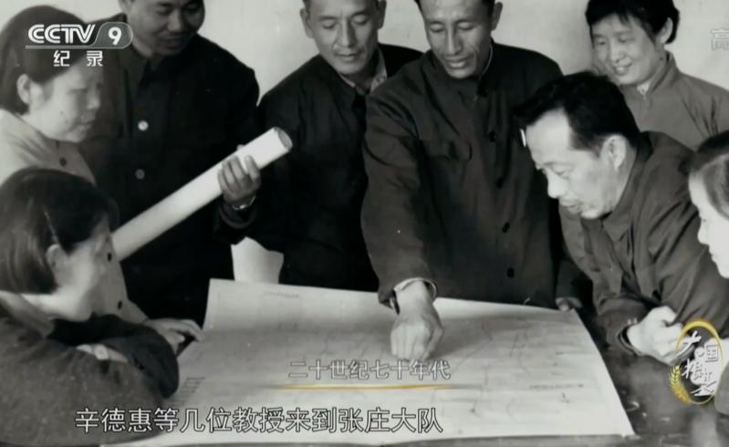 疫情下多国禁止粮食出口,中国粮食形势受何影响?