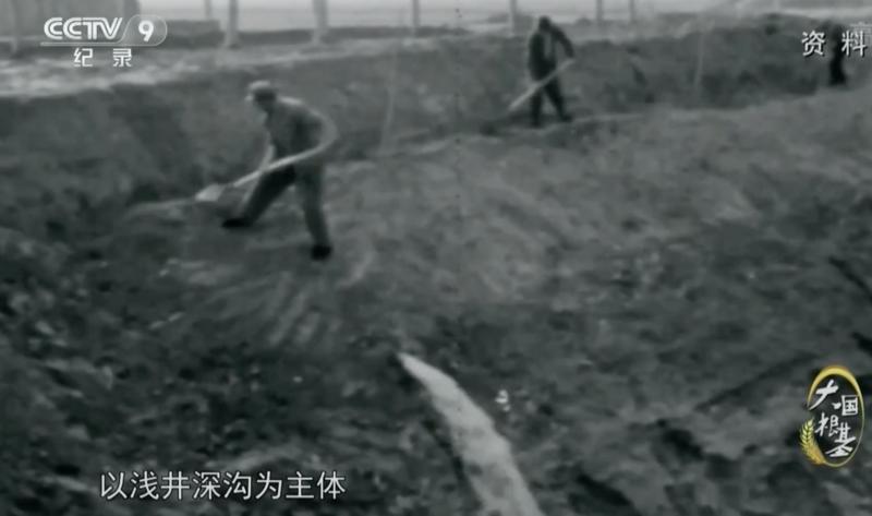 疫情下多国禁止粮食出口,中国粮食形势受何影响?