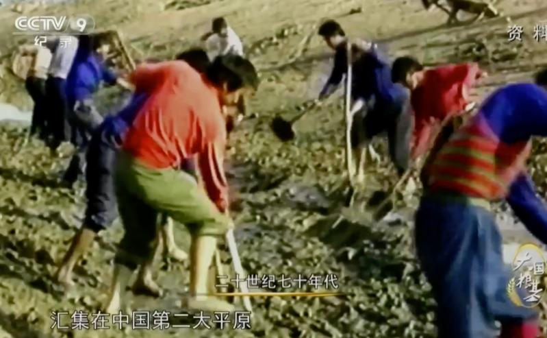 疫情下多国禁止粮食出口,中国粮食形势受何影响?