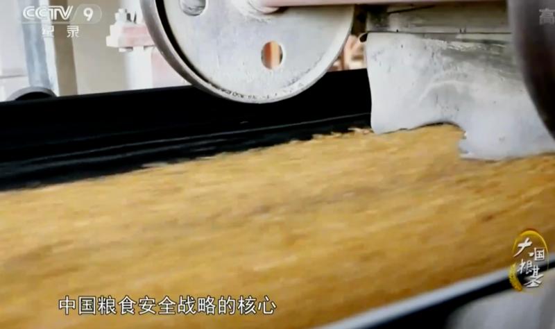 疫情下多国禁止粮食出口,中国粮食形势受何影响?