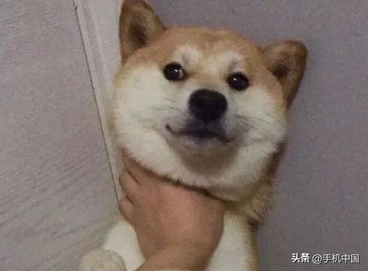 疫情版号双重阻拦,汽车、游戏等行业寒意中寻出路