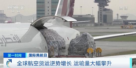 疫情冲击下民航业受挫,前三季度运输量仅恢复至七成