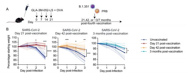 新研究:鼻内黏膜免疫诱导方案,助力广谱防护呼吸道病原体