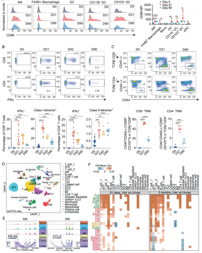 新研究:鼻内黏膜免疫诱导方案,助力广谱防护呼吸道病原体