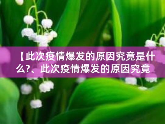 广州、上海、莆田、武汉疫情爆发的原因全解析