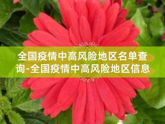本地宝和支付宝查疫情风险地区方法及风险划分标准
