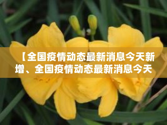香港、上海、河北等地疫情动态，新增确诊病例数公布