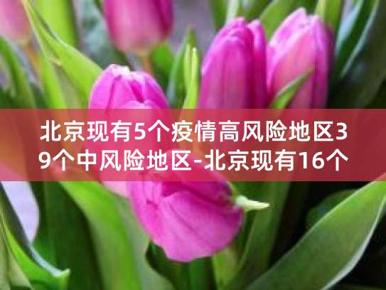 2022年北京疫情风险等级调整通报及人员进京政策