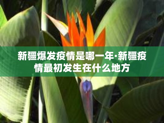 新疆疫情爆发原因及现状，乌鲁木齐疫情起止时间介绍