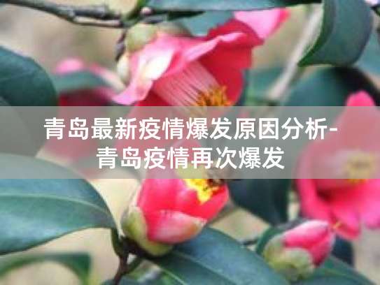 青岛集体感染会引发年底疫情二次爆发？专家这样说