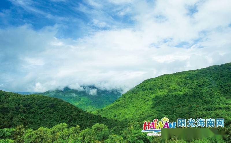 疫情防控政策优化，三亚旅游热度飙升，酒店预订量猛增